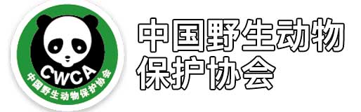 世界动物保护协会