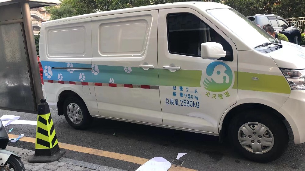 【CFPA深圳宠联 日常犬只收治】