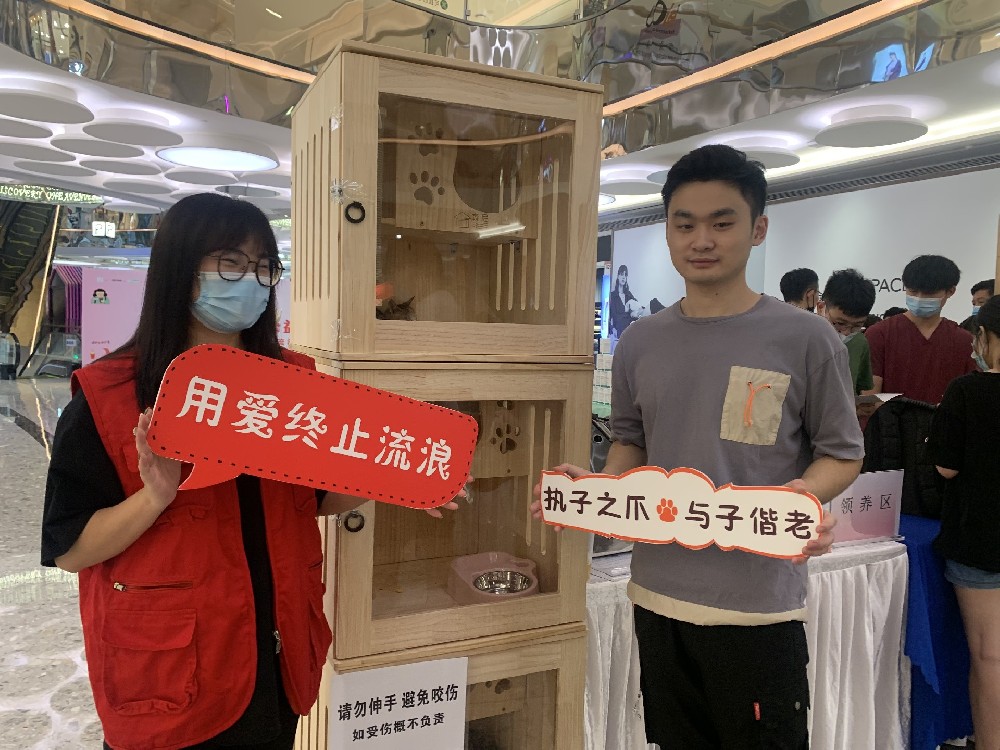 【CFPA深圳宠联 流浪猫公益活动】